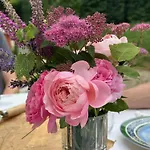 Villa Arboris - Retreat Into The Open