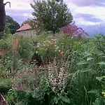 Arboris - Retreat Into The Open * Blankenberg (Thuringia)