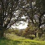 Villa Arboris - Retreat Into The Open Blankenberg (Thuringia)