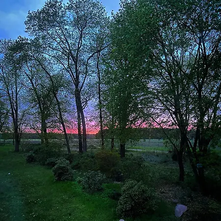 Villa Arboris - Retreat Into The Open