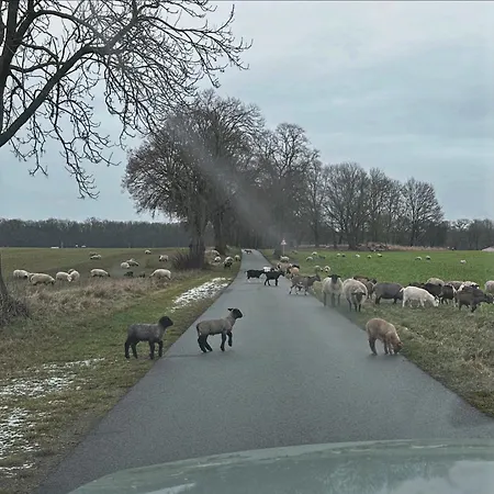 Arboris - Retreat Into The Open