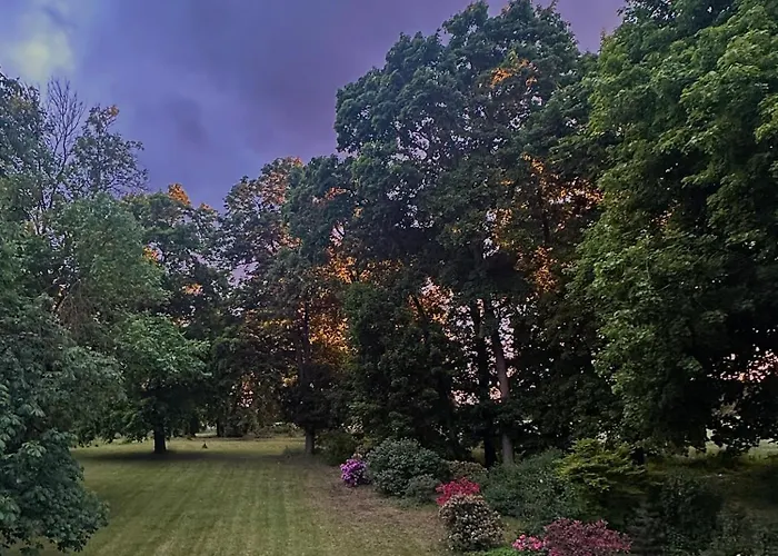 Arboris - Retreat Into The Open * Blankenberg (Thuringia)