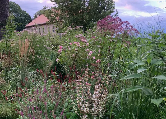 Arboris - Retreat Into The Open * Blankenberg (Thuringia)