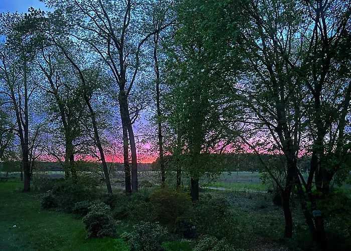 Villa Arboris - Retreat Into The Open