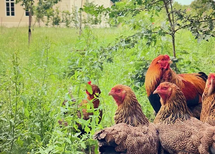 Villa Arboris - Retreat Into The Open