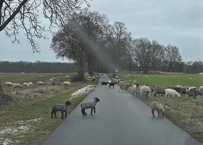 Arboris - Retreat Into The Open