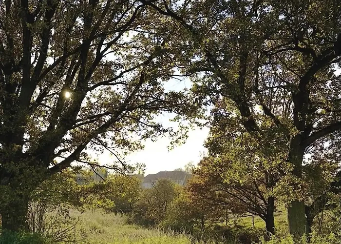 Villa Arboris - Retreat Into The Open Blankenberg (Thuringia)