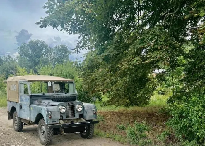 Villa Arboris - Retreat Into The Open