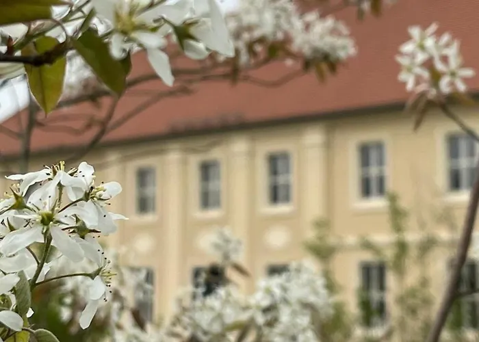 Arboris - Retreat Into The Open * Blankenberg (Thuringia)
