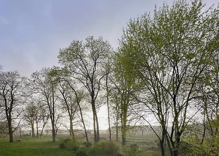 Villa Arboris - Retreat Into The Open