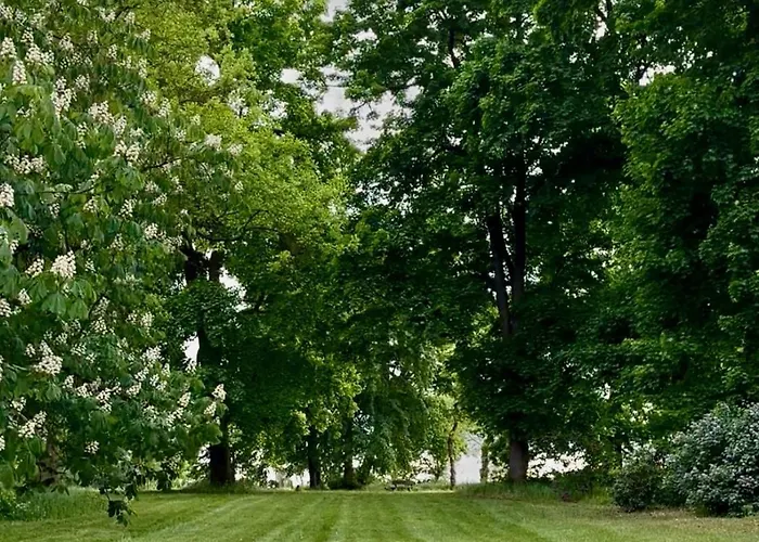 Villa Arboris - Retreat Into The Open Blankenberg (Thuringia)